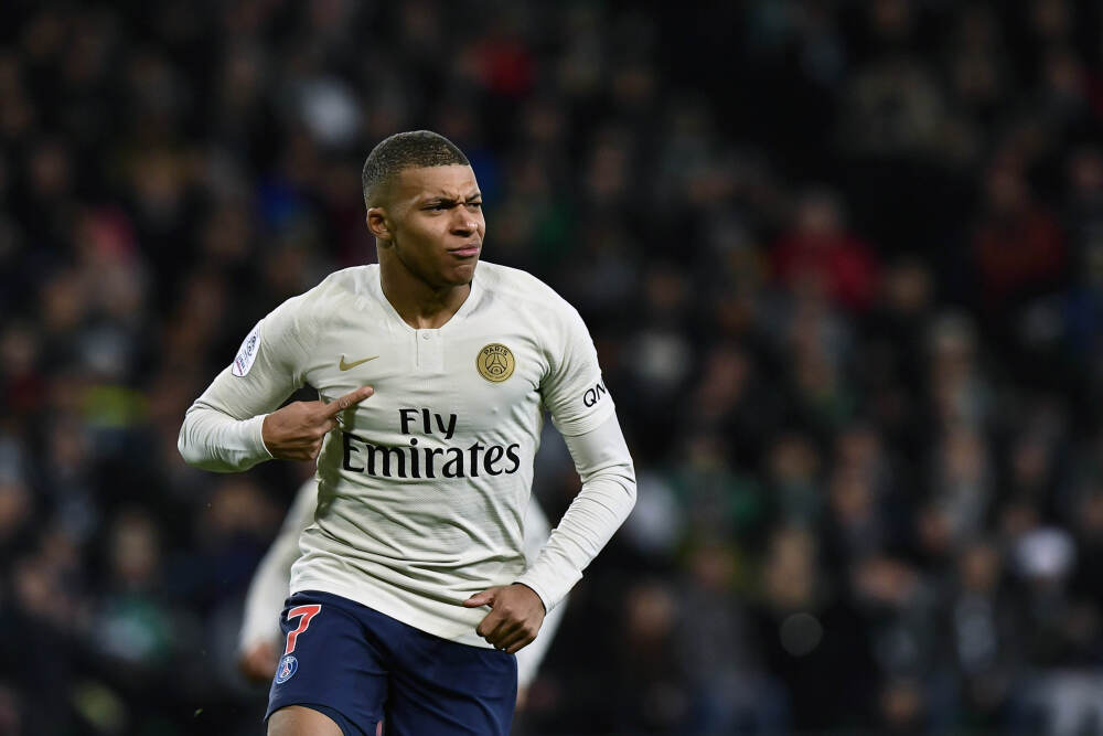 离谱！阿根廷美洲狮不吃羊驼改吃企鹅？又是人类惹的祸…